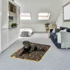 A black dog lies on a patterned mat in a room with a bed and a sofa. Náhled obrázku produktu