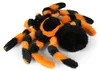 Pluche Tarantula Spin 20 Cm Eco-f Plush World Productafbeelding-voorbeeld 2