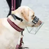 A dog wearing a muzzle and collar on a beach. Náhled obrázku produktu