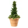BAMA Blumentopf Chianti 60 cm, terracotta Produktbild-Vorschau 2