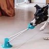 Hundespielzeug mit Saugnapf Hunde Spielzeug Hundespielzeug Produktbild-Vorschau 4