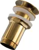 A close-up studio shot of a brass sink drain fitting. Voir les images du produit