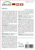 SAFLAX - cikorka - Cichorium intybus - 250 Semena Náhled obrázku produktu 7