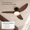 Plafondventilator van 100 cm met verlichting en Productafbeelding-voorbeeld 4