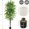 ML-Design sztuczna roślina Ficus 210cm sztuczne rośliny Podgląd zdjęcia produktu 6