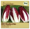 Samenliebe  Radicchio Samen | Treviso 206 TT - winterhart & Produktbild-Vorschau 1