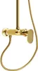 A close-up studio shot of a gold-colored shower faucet and hose against a white background. Náhled obrázku produktu