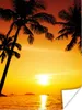 MuchoWow® Poster Palme - Sonnenuntergang - Strand - Orange Produktbild-Vorschau 1