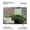Thymian Samen - Heilkräuter Saatgut aus biologischem Anbau Produktbild-Vorschau 5