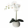Bílá umělá orchidej v květináči, výška 53 cm Náhled obrázku produktu 1