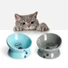 Y YHY Erhöhter Keramik-Katzennapf, wirbelsäulenschonend mit Produktbild-Vorschau 2