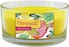 Citronella Kerze Outdoor im Glas, 2 Stücke Outdoor Kerzen Produktbild-Vorschau 2