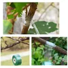 Collage of images showing plant grafting tape being applied to tree branches. Produktbild-Vorschau