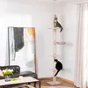 PawHut Kratzbaum Deckenhoch höhenverstellbar, stabiler Produktbild-Vorschau 2