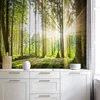 Vlies Fototapete - Forest Tales 350x256 cm Landschaften Produktbild-Vorschau 1