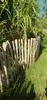 A wooden picket fence in a garden with green grass and tall plants. Produktbild-Vorschau