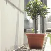 Blumentopf Rund Übertopf Blumenkasten Abmessungen (DxH) 35 Produktbild-Vorschau 6