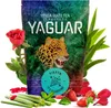Yaguar - Mate Tee Fiesta 50g - Sommer-Erfrischung Melone, Produktbild-Vorschau 2