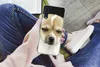 MuchoWow® Handyhülle Schutzhülle Hülle für Samsung Galaxy Produktbild-Vorschau 3