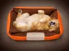 Lit Rectangulaire Pour Animaux De Compagnie L Orange (30) Voir les images du produit 3