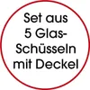 DS Produkte 5er Set Glas Frischhaltedosen Schüsseln mit Produktbild-Vorschau 8