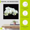 ARTland Poster Weiße Orchidee auf schwarzem Hintergrund Produktbild-Vorschau 2
