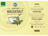 Maggikraut - Liebstöckel- Levisticum officinale - Produktbild-Vorschau 2