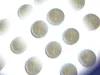 Bienenauge Facettenlinse Produktbild-Vorschau 4