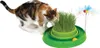 Catit Play 'n Scratch | Ciotola per gatti con erba | 4 x 36 Anteprima dell’immagine prodotto 1