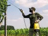 A person is using a sprayer in a field. Podgląd zdjęcia produktu