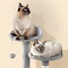 Two Siamese cats are relaxing on a multi-level cat tree. Produktbild-Vorschau
