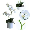 Dekorativní hedvábné orchideje bonsai, umělé květiny s Náhled obrázku produktu 4