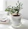 Závesný kvetináč Self Absorbing Voda Závesný kvetináč Náhľad obrázku produktu 3