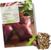 Rote Beete Samen (Detroit Globe, 50 Korn) - Rote Bete Produktbild-Vorschau 1