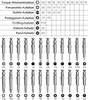 A set of precision screwdrivers and their corresponding sizes and types are displayed in a grid format with accompanying images of the tools. Produktbild-Vorschau