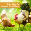 Quiko Hobbyfarming Multivitamine-sap Vitacomcex-H voor Productafbeelding-voorbeeld 3