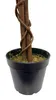 Goldregen 120 cm künstlich wie echt Wisteria Glyzinienbaum Produktbild-Vorschau 6