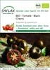 SAFLAX  -- Tomate - Cerise noire - 10 graines - Solanum Voir les images du produit 10