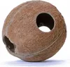 Terrario CocoLair - tutto il cocco naturale Terrario Anteprima dell’immagine prodotto 1