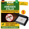 Ameisen Kunststoff Klebefalle mit Pheromonlockstoff – 1x Produktbild-Vorschau 1
