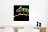 MuchoWow® Poster Chamäleon - Zweig - Grün 50x50 cm - Produktbild-Vorschau 5