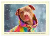 Pit Bull Terrier. Zwischen Wildblumen und Großstadtglanz Produktbild-Vorschau 4
