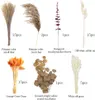 66-teiliger Trockenblumenstrauß, natürliche Trockenblumen, Produktbild-Vorschau 3