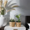 2er Set Blumentopf aus Seegras rund mit Kunststoffeinsatz Produktbild-Vorschau 2