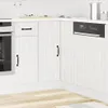 A white kitchen cabinet with a built-in dishwasher.