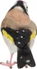 Esschert Design | Gartenfiguren - Vogel - 12 x 8,5 cm - Produktbild-Vorschau 11
