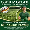 DÜNGEMEISTER Herbst Rasendünger – mit Langzeitwirkung und Produktbild-Vorschau 6