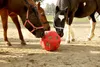 KERBL Heuball Pferde Spielzeug Futterspielball Pink Produktbild-Vorschau 3