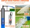 A collage of images showing a submersible water pump, its application in irrigation, and its specifications. Anteprima dell’immagine prodotto
