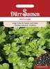 Portulak | Portulaksamen von Dürr Samen Produktbild-Vorschau 3